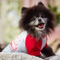 Frisco Mama's Sweetheart Dog & Cat T-Shirt -Pet Cat Store 371063 PT7. AC SS1800 V1701796982