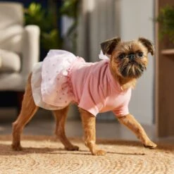 Frisco Tulle Hearts Dog & Cat Dress -Pet Cat Store 371070 PT8. AC SS1800 V1700690505