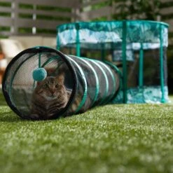 Frisco Mesh Outdoor Extra Wide Pop-up Cat Playpen & Tunnel 16 Frisco Mesh Outdoor Extra Wide Pop-up Cat Playpen & Tunnel -Pet Cat Store 371212 PT6. AC SS1800 V1663094505