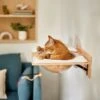 Frisco Acrylic Bowl Wall Mounted Cat Wall Shelf -Pet Cat Store 373439 MAIN. AC SS1800 V1673014135