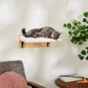 Frisco Cushioned Wall Mounted Cat Wall Shelf 2 Frisco Cushioned Wall Mounted Cat Wall Shelf -Pet Cat Store 373443 MAIN. AC SS1800 V1673025637