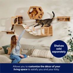 Frisco Hexagon Wall Mounted Cat Wall Shelf -Pet Cat Store 373445 PT3. AC SS1800 V1675692702