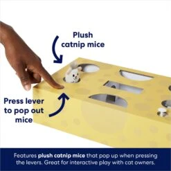 Frisco Cheese Interactive Maze Cardboard Cat Toy Box With Catnip -Pet Cat Store 506106 PT3. AC SS1800 V1671551754