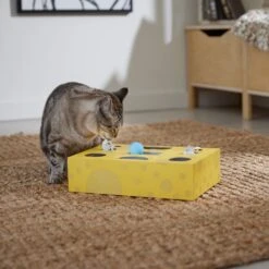 Frisco Cheese Interactive Maze Cardboard Cat Toy Box With Catnip -Pet Cat Store 506106 PT4. AC SS1800 V1669148185