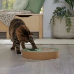 Frisco Interactive Maze & Scratch Cardboard Cat Toy Box With Catnip, Palms -Pet Cat Store 506130 PT4. AC SS1800 V1669212028