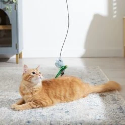 Frisco Leaf & Dragonfly Interchangeable Teaser Wand Cat Toy With Catnip -Pet Cat Store 525982 PT3. AC SS1800 V1669148131