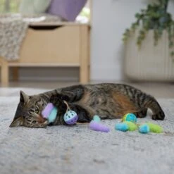 Frisco Fabric & Play Plastic Balls Cat Toy 8 Frisco Fabric & Play Plastic Balls Cat Toy -Pet Cat Store 526030 PT3. AC SS1800 V1669148132