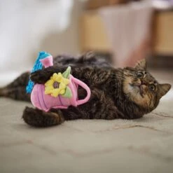 Frisco Spring Watering Can Plush Cat Toy With Catnip -Pet Cat Store 541558 PT3. AC SS1800 V1671814448