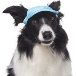 Frisco Blue Ocean Waves 30 + UPF Dog & Cat Beach Cap -Pet Cat Store 556182 PT3. AC SS1800 V1677530963