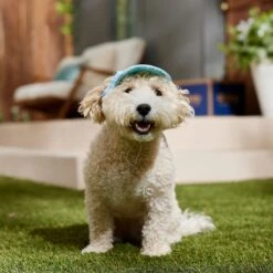 Frisco Blue Ocean Waves 30 + UPF Dog & Cat Beach Cap -Pet Cat Store 556182 PT5. AC SS1800 V1675714092