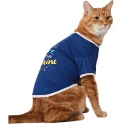 Frisco I Live In The Sunshine Dog & Cat T-Shirt -Pet Cat Store 556222 PT2. AC SS1800 V1674829137