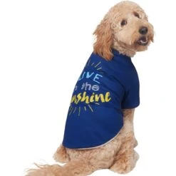 Frisco I Live In The Sunshine Dog & Cat T-Shirt -Pet Cat Store 556222 PT3. AC SS1800 V1674829145