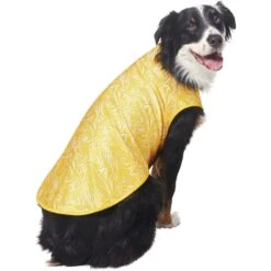 Frisco 30+ UPF Dog & Cat Beach Rash Guard -Pet Cat Store 556286 PT4. AC SS1800 V1675713977