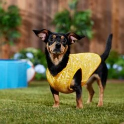 Frisco 30+ UPF Dog & Cat Beach Rash Guard -Pet Cat Store 556286 PT6. AC SS1800 V1675714036
