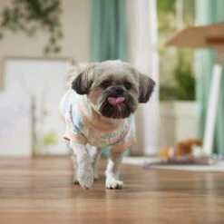 Frisco Vintage Tropical Dog & Cat Pocket T-Shirt -Pet Cat Store 556598 PT5. AC SS1800 V1675101997