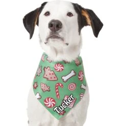 Frisco Gingerbread Treats Personalized Dog & Cat Bandana 17 Frisco Gingerbread Treats Personalized Dog & Cat Bandana -Pet Cat Store 564502 PT6. AC SS1800 V1660405305