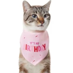 Frisco Dog & Cat Birthday Bandana -Pet Cat Store 608206 PT2. AC SS1800 V1676644511