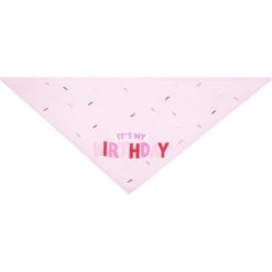Frisco Dog & Cat Birthday Bandana -Pet Cat Store 608206 PT4. AC SS1800 V1676586068