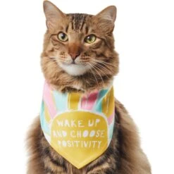 Frisco Wake Up Positive Dog & Cat Bandana 12 Frisco Wake Up Positive Dog & Cat Bandana -Pet Cat Store 608230 PT2. AC SS1800 V1676644830