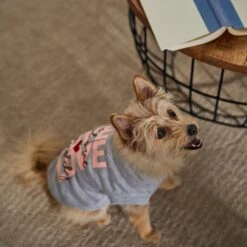 Frisco I Love Daddy Heart Dog & Cat T-Shirt 14 Frisco I Love Daddy Heart Dog & Cat T-Shirt -Pet Cat Store 608262 PT7. AC SS1800 V1676585954