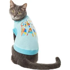 Frisco Birthday Celebration Dog & Cat T-Shirt -Pet Cat Store 608318 PT2. AC SS1800 V1676643772