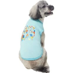 Frisco Birthday Celebration Dog & Cat T-Shirt -Pet Cat Store 608318 PT3. AC SS1800 V1676643253