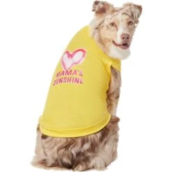 Frisco Mama's Sunshine Dog & Cat T-Shirt -Pet Cat Store 608446 PT3. AC SS1800 V1676586071