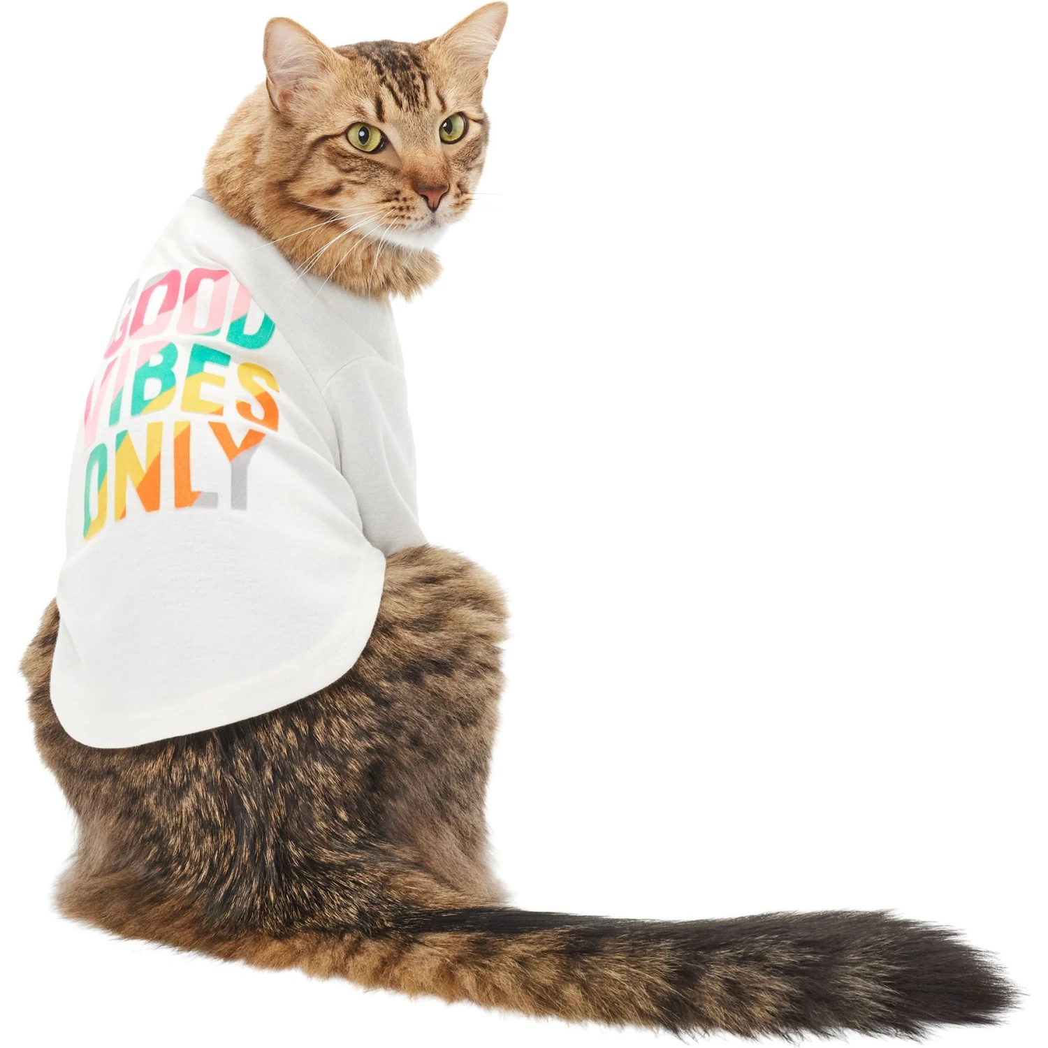 Frisco Good Vibes Only Dog & Cat T-Shirt 5 Frisco Good Vibes Only Dog & Cat T-Shirt - Image 3