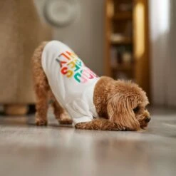 Frisco Good Vibes Only Dog & Cat T-Shirt 14 Frisco Good Vibes Only Dog & Cat T-Shirt -Pet Cat Store 608518 PT7. AC SS1800 V1676644453