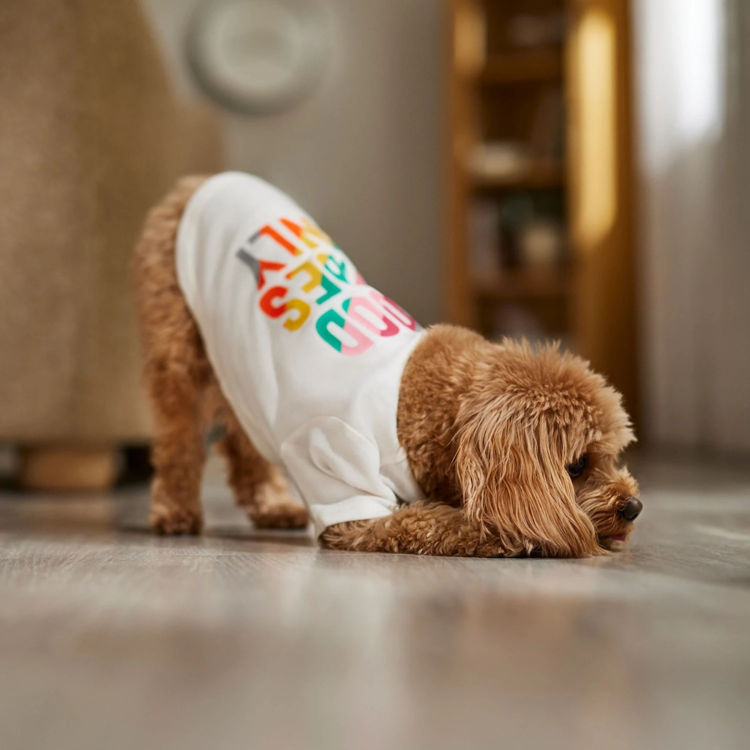 Frisco Good Vibes Only Dog & Cat T-Shirt 8 Frisco Good Vibes Only Dog & Cat T-Shirt - Image 6