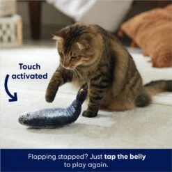 Frisco Interactive Flopping Fish Electronic Cat Toy With Catnip 12 Frisco Interactive Flopping Fish Electronic Cat Toy With Catnip -Pet Cat Store 632798 PT4. AC SS1800 V1679513800