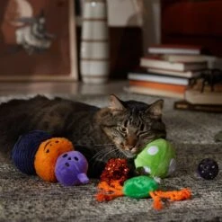 Frisco Halloween Mystical Variety Pack Plush & Balls Cat Toy With Catnip -Pet Cat Store 668374 PT3. AC SS1800 V1689282492