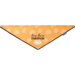 Frisco Hey There Pumpkin Dog & Cat Bandana -Pet Cat Store 706374 PT3. AC SS1800 V1689282446