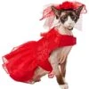 Frisco Red Ruffle Dog & Cat Dress + Headpiece 1 Frisco Red Ruffle Dog & Cat Dress + Headpiece -Pet Cat Store 707286 MAIN. AC SS1800 V1689341622
