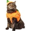 Frisco Pumpkin Ball Dog & Cat Costume -Pet Cat Store 708902 MAIN. AC SS1800 V1689351821