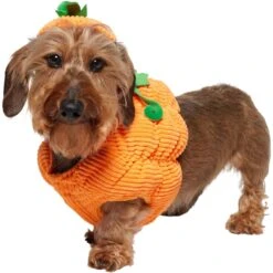 Frisco Pumpkin Ball Dog & Cat Costume -Pet Cat Store 708902 PT2. AC SS1800 V1689351041