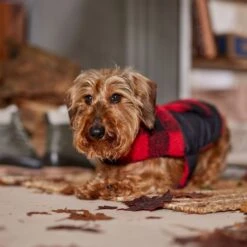 Frisco Reversible Medium Weight Boulder Plaid Dog & Cat Coat -Pet Cat Store 717846 PT7. AC SS1800 V1692375977