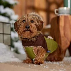 Frisco Heavy Weight 2-Tone Sherpa Lined Hybrid Quilted Dog & Cat Parka -Pet Cat Store 718038 PT7. AC SS1800 V1692378337