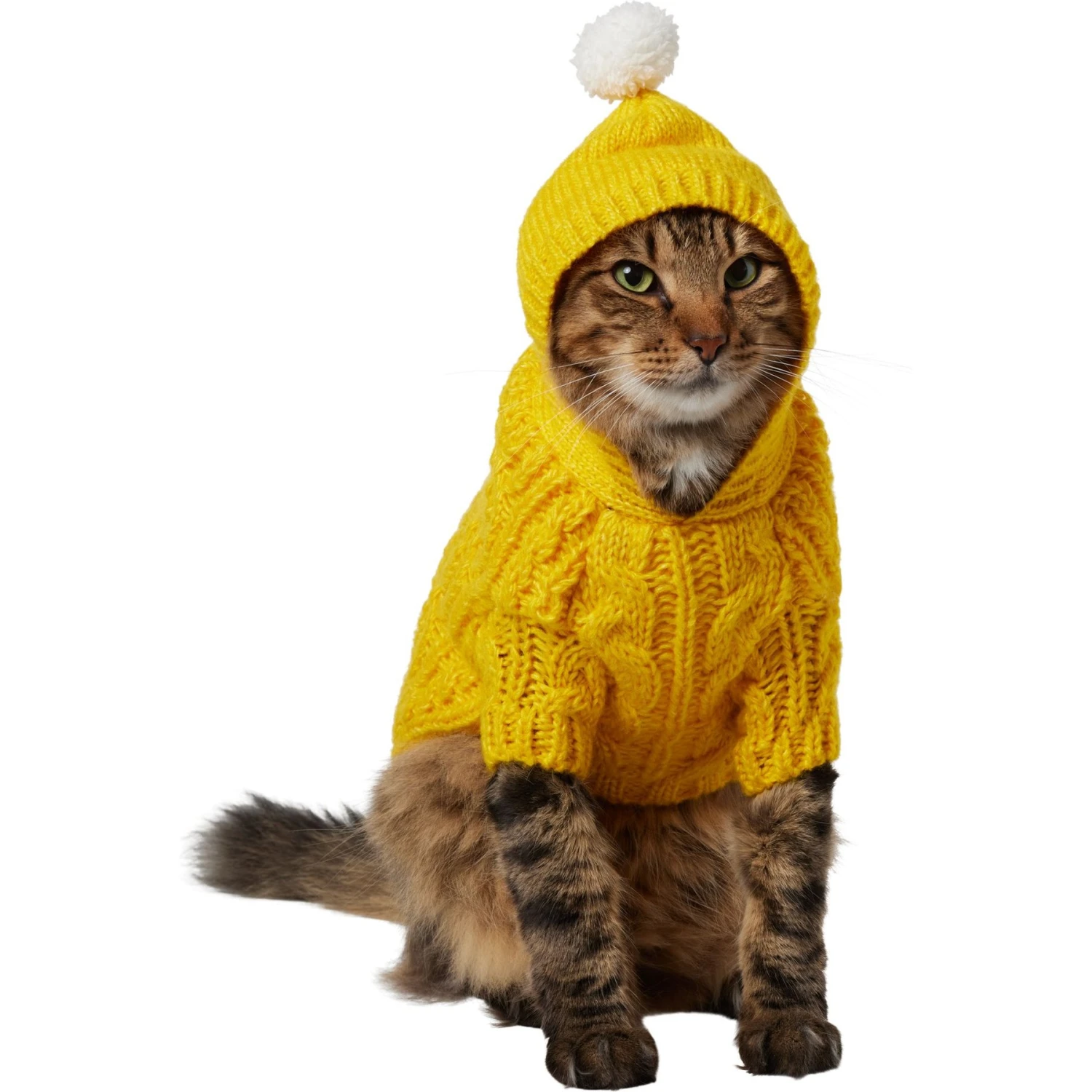 Frisco Sherpa Lined Chunky Cable Knit Dog & Cat Hooded Sweater 3 Frisco Sherpa Lined Chunky Cable Knit Dog & Cat Hooded Sweater