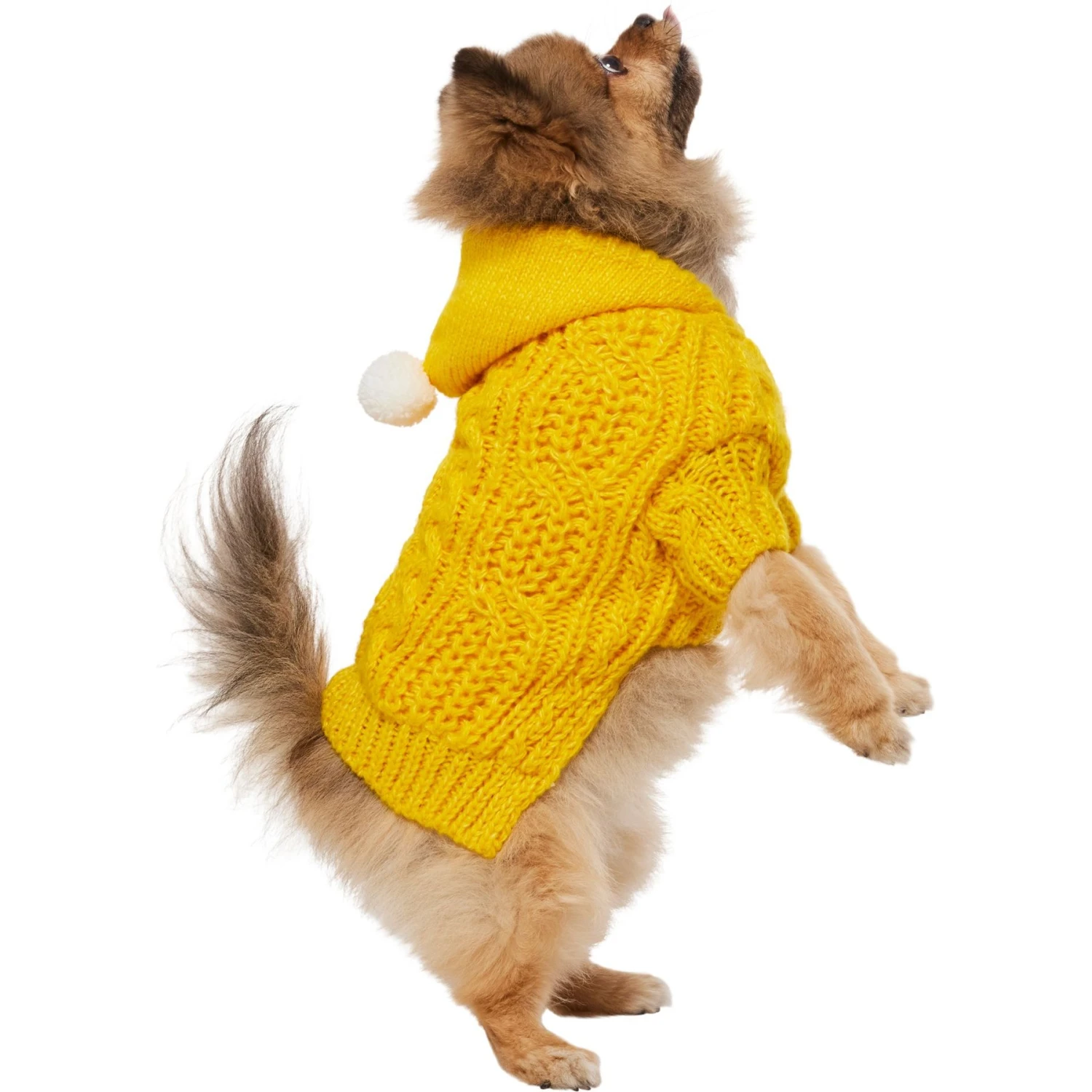 Frisco Sherpa Lined Chunky Cable Knit Dog & Cat Hooded Sweater 5 Frisco Sherpa Lined Chunky Cable Knit Dog & Cat Hooded Sweater - Image 3