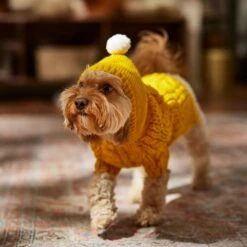 Frisco Sherpa Lined Chunky Cable Knit Dog & Cat Hooded Sweater 16 Frisco Sherpa Lined Chunky Cable Knit Dog & Cat Hooded Sweater -Pet Cat Store 718374 PT7. AC SS1800 V1692379031