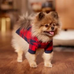 Frisco Fleece Lined Buffalo Plaid Mock Neck Dog & Cat Sweater -Pet Cat Store 718470 PT7. AC SS1800 V1692378099