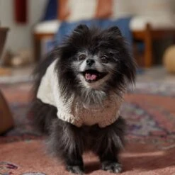 Frisco Sherpa Lined Chunky Cable Knit Dog & Cat Sweater 16 Frisco Sherpa Lined Chunky Cable Knit Dog & Cat Sweater -Pet Cat Store 718518 PT7. AC SS1800 V1692378338