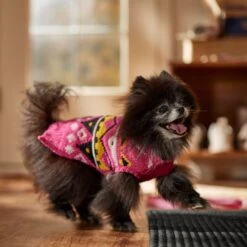 Frisco Bold Nordic V-Neck Dog & Cat Sweater -Pet Cat Store 718710 PT7. AC SS1800 V1692377763