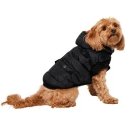 Frisco Heavy Weight Matte Quilted Volume Dog & Cat Puffer 13 Frisco Heavy Weight Matte Quilted Volume Dog & Cat Puffer -Pet Cat Store 719750 PT2. AC SS1800 V1703184628