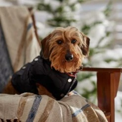 Frisco Heavy Weight Matte Quilted Volume Dog & Cat Puffer 18 Frisco Heavy Weight Matte Quilted Volume Dog & Cat Puffer -Pet Cat Store 719750 PT7. AC SS1800 V1692377763