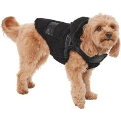 Frisco Medium Weight Faux Leather Dog & Cat Parka With Faux Fur Trimmed Hood, Black -Pet Cat Store 719798 PT2. AC SS1800 V1703184628