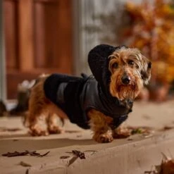 Frisco Medium Weight Faux Leather Dog & Cat Parka With Faux Fur Trimmed Hood, Black -Pet Cat Store 719798 PT7. AC SS1800 V1692376307