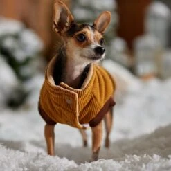 Frisco Heavy Weight Lux Corduroy Insulated Dog & Cat Coat With Fur Trimmed Hood 18 Frisco Heavy Weight Lux Corduroy Insulated Dog & Cat Coat With Fur Trimmed Hood -Pet Cat Store 719966 PT7. AC SS1800 V1692377819