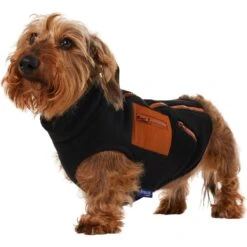 Frisco Light Weight Leopard Print Lined Fleece Dog & Cat Vest 12 Frisco Light Weight Leopard Print Lined Fleece Dog & Cat Vest -Pet Cat Store 720694 PT2. AC SS1800 V1703194382